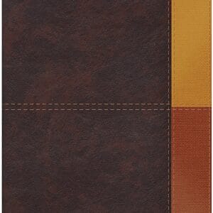 Biblia de Estudio Arcoiris RVR 1960