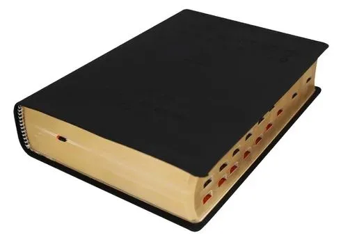 Biblia RVR1960 de Estudio Teológico Letra Grande con Índice Color Negro - Imagen 3