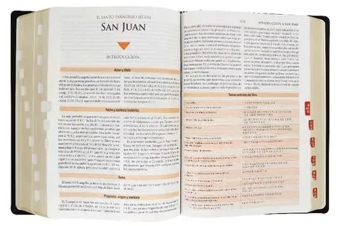 Biblia RVR1960 de Estudio Teológico Letra Grande con Índice Color Negro - Imagen 4