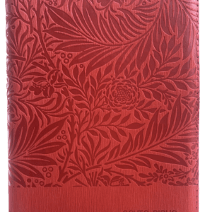 Biblia Reina Valera Letra Grande Color Rojo Canto Plateado