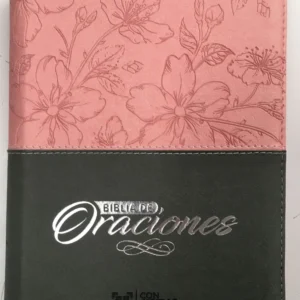 Biblia de Oraciones Reina Valera Color Rosado Gris con Canto Plateado