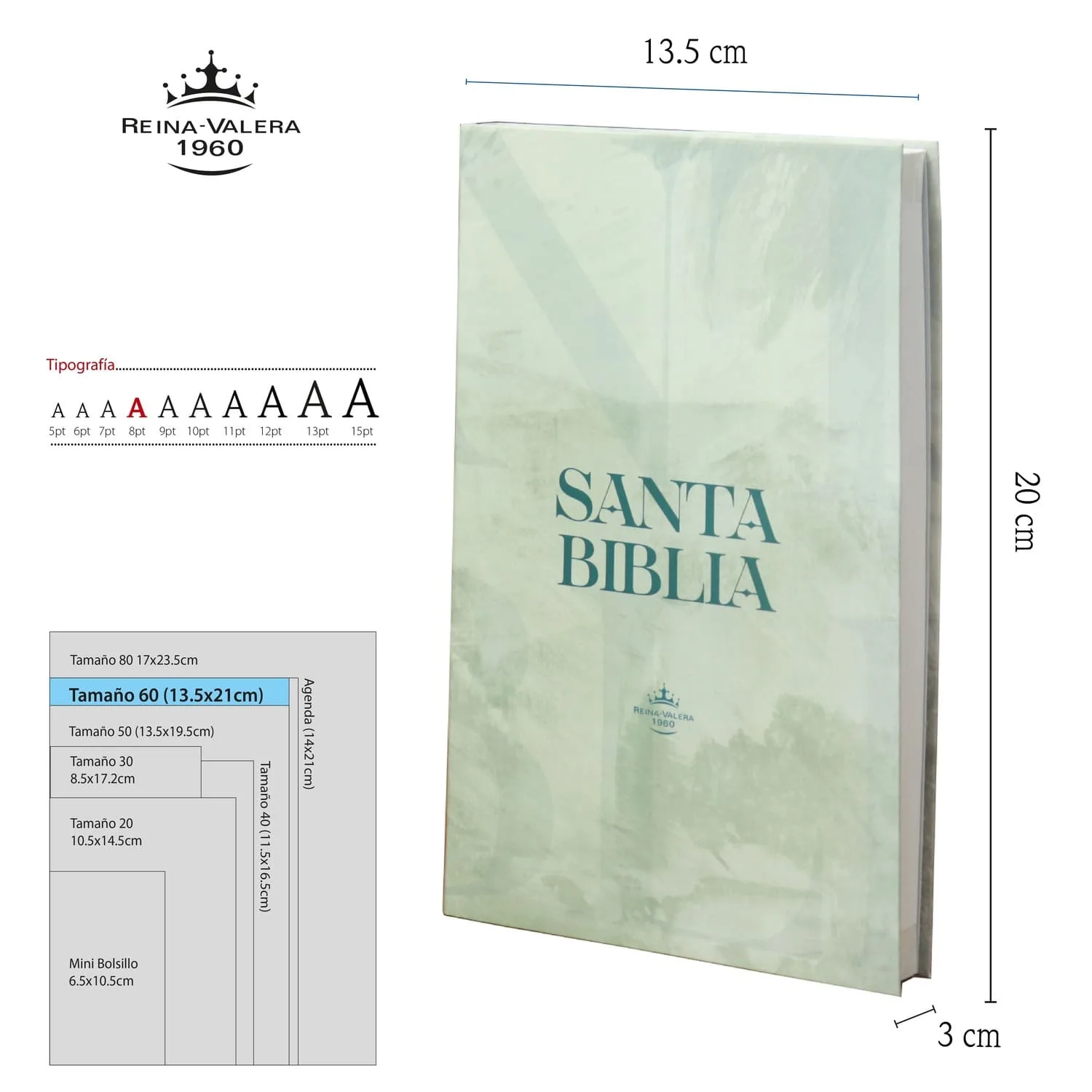 Biblia RVR1960 Tapa Flexible Color Gris y Verde