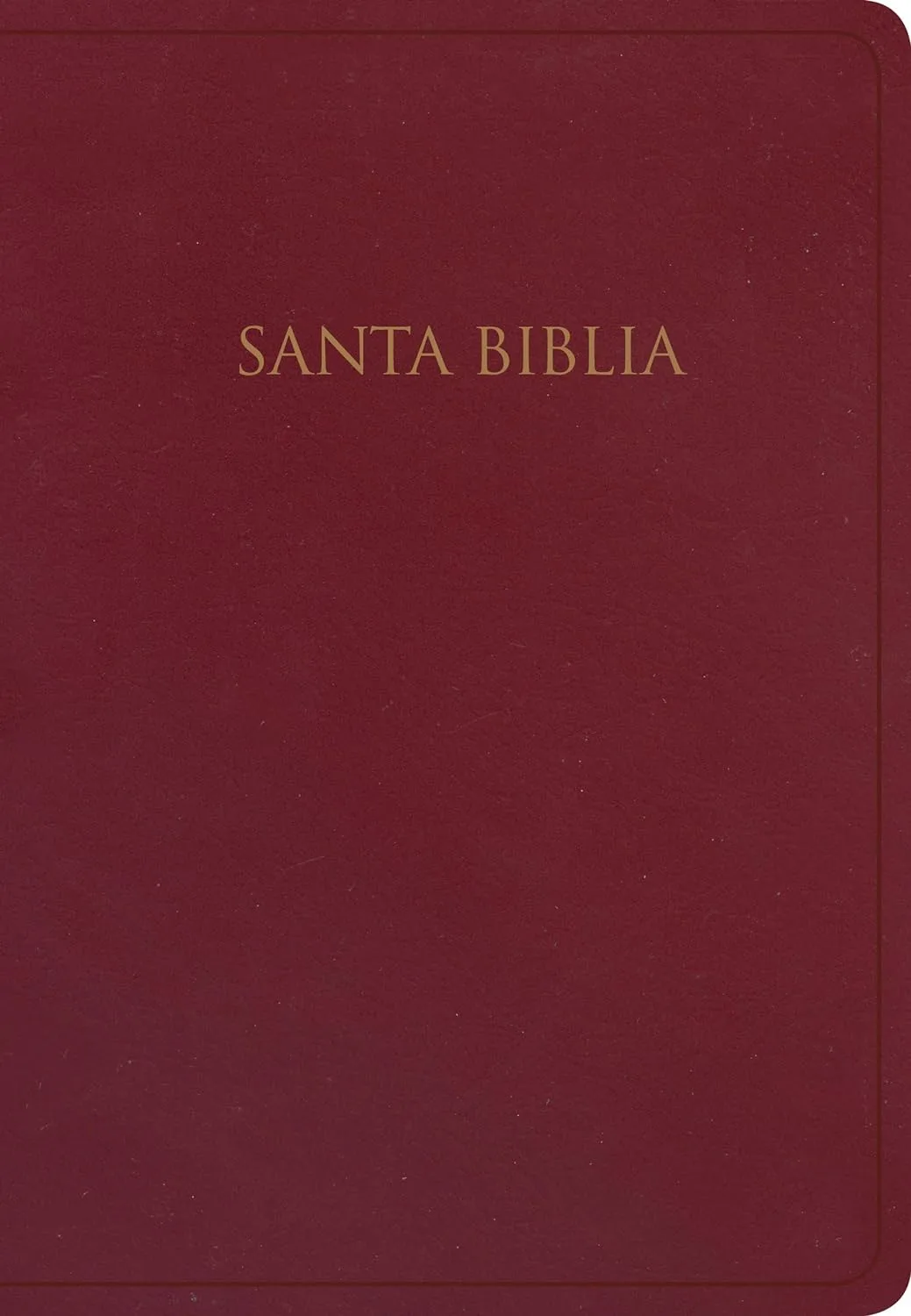 Biblia Para Regalos y Premios Versión RVR 1960 - Imagen 3
