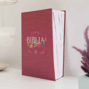 Biblia Reina Valera 1960 letra grande
