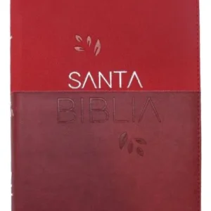 PJR TINTO CEREZA CANTO BLR